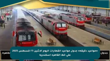 «مواعيد دقيقة» جدول مواعيد القطارات اليوم الاثنين 11 اغسطس 2025 على خط القاهرة اسكندرية